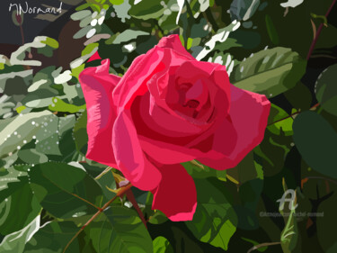 2018-01-08-une-rose.png