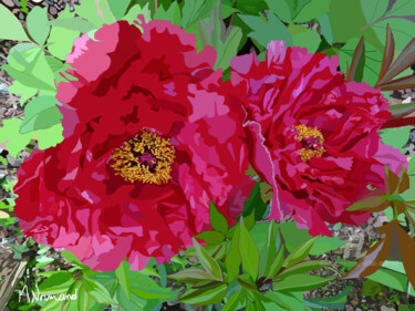 2019-04-08-des-pivoines-dans-le-jardin.png