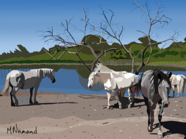 2019-07-04-camargue.png