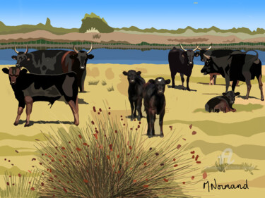 2019-07-05-camargue.png