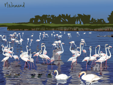 2019-07-11-camargue.png