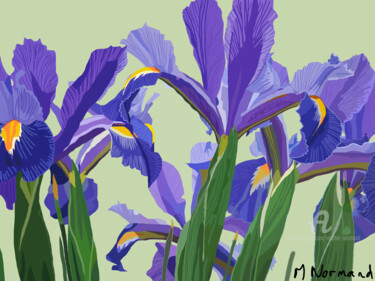 2015-07-21 Iris.jpg